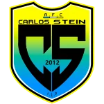 Carlos Stein