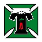 Deportes Temuco