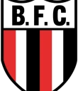 Botafogo-SP