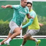 Após quase 10 meses afastado, Paulinho retorna à lista de relacionados do Palmeiras