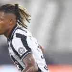 Lista vazada da Seleção Brasileira para Copa do Mundo não inclui Danilo do Botafogo