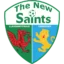 The New Saints