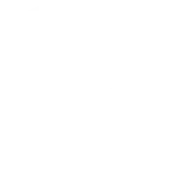 Dinamo Tbilisi