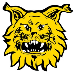 Ilves